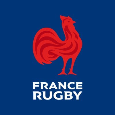 FederationFrancaisedeRugby logo