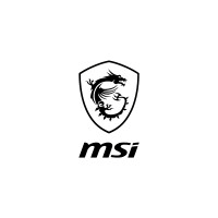 MSI logo
