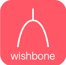 Wishbone logo